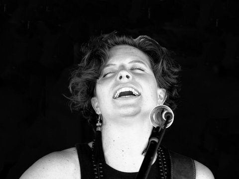 Blues And Berries Festival - Accommodation Whitsundays 1