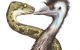 Edward The Emu - thumb 0