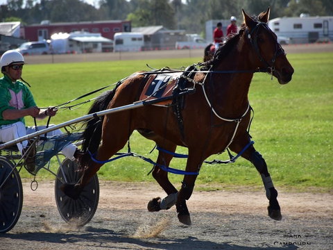 Forbes Show - Accommodation Whitsundays 0