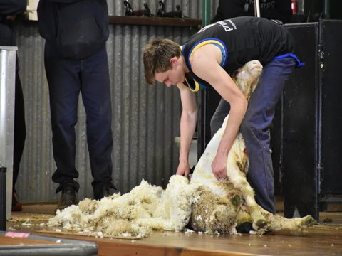 Forbes Show - Accommodation Whitsundays 1