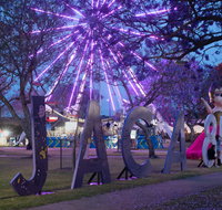 Grafton Jacaranda Festival - Accommodation Whitsundays