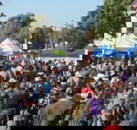 Hunter Valley Caravan Camping 4WD Fish and Boat Show - Accommodation Whitsundays