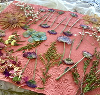 Introduction to Paper Making - Accommodation Whitsundays