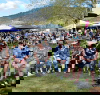 Jamming at Jingellic - Accommodation Whitsundays