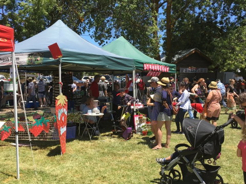 Macclesfield Strawberry Fete - Accommodation Whitsundays 1
