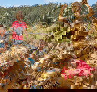 Mini Muddies Obstacle Challenge at Bunnamagoo Estate - Accommodation Whitsundays