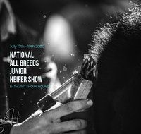 National All Breeds Junior Heifer Show - Accommodation Whitsundays