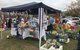 Perthville Village Fair - thumb 0