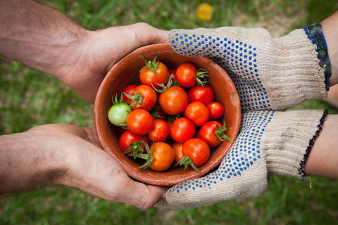 Riverina Producers Market - Accommodation Whitsundays 0