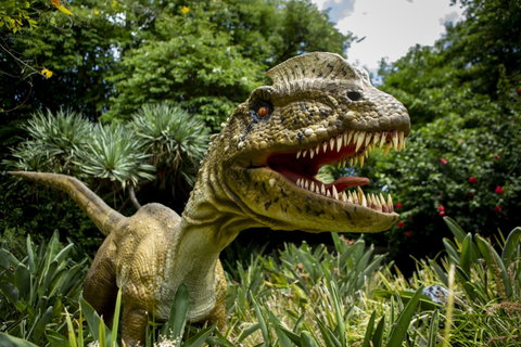 Zoorassic At Werribee Open Range Zoo. - Accommodation Whitsundays 1