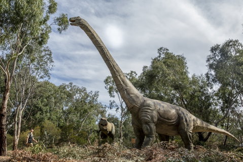 Zoorassic At Werribee Open Range Zoo. - Accommodation Whitsundays 2