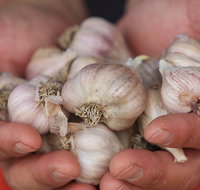 Armidale Farmers' Market - Accommodation Whitsundays