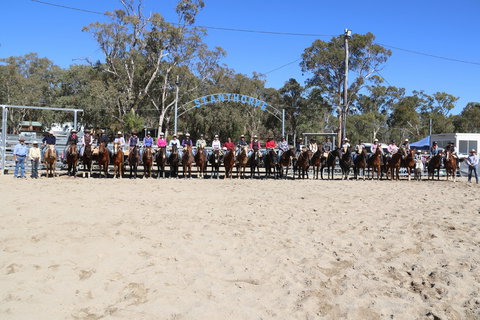 Australian Campdraft Association National Finals Campdraft 2021 - Accommodation Whitsundays 0