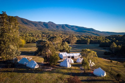 A Wild Night Out - Spring - Accommodation Whitsundays 5