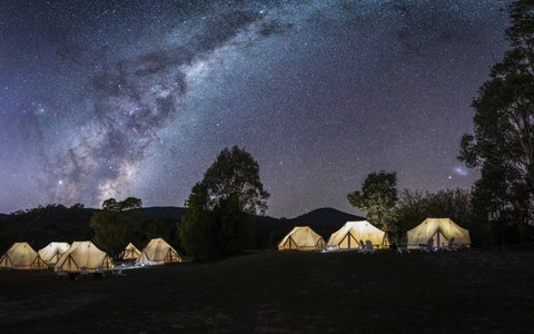 A Wild Night Out - Spring - Accommodation Whitsundays 6