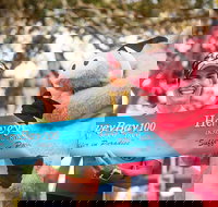 Beach House Hotel Hervey Bay 100 - Accommodation Whitsundays