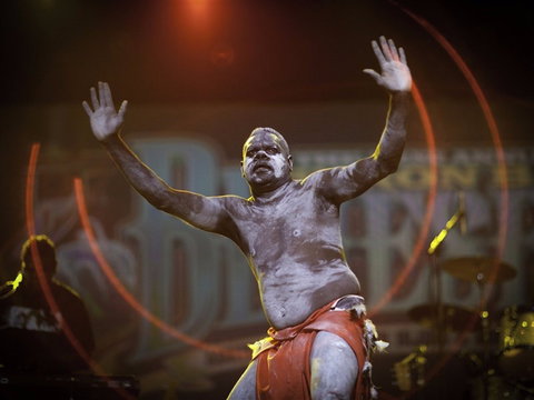 Bluesfest - Accommodation Whitsundays 2