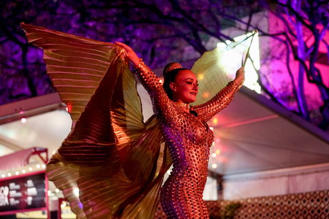 Brisbane Festival - Accommodation Whitsundays 0