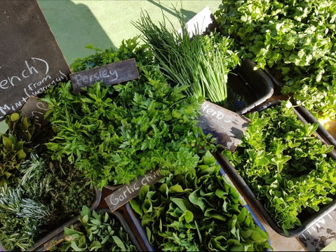 Carlton Farmers' Market - Accommodation Whitsundays 2