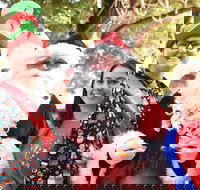 Christmas on the Plains - Quirindi - Accommodation Whitsundays