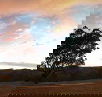 Christmas in July Jumpers and Jazz - Accommodation Whitsundays