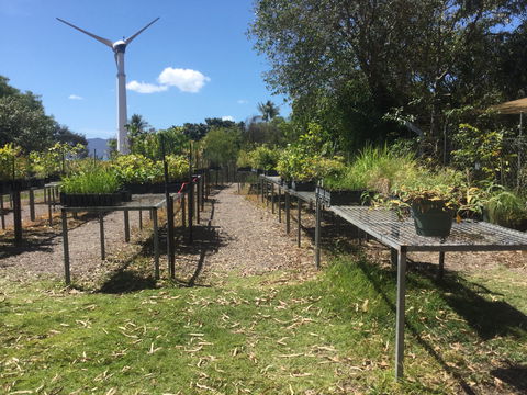 Conservation Volunteers Australia Townsville - Ocean View Nursery - Accommodation Whitsundays 0