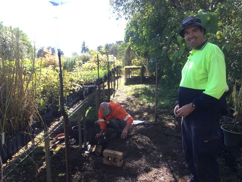 Conservation Volunteers Australia Townsville - Ocean View Nursery - Accommodation Whitsundays 1