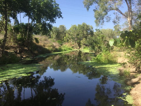 Conservation Volunteers Australia Townsville - Creekwatch - Accommodation Whitsundays 0