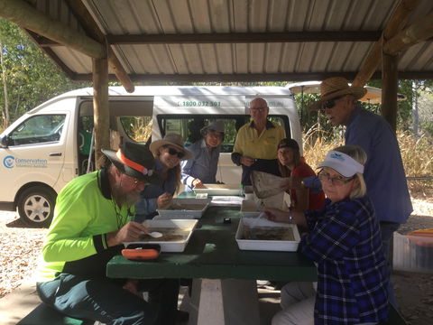Conservation Volunteers Australia Townsville - Creekwatch - Accommodation Whitsundays 1