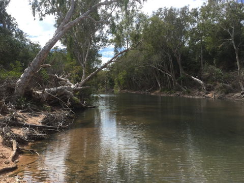 Conservation Volunteers Australia Townsville - Creekwatch - Accommodation Whitsundays 2