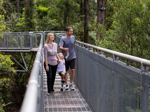 Get Back To Nature These July School Holidays! - Accommodation Whitsundays 1