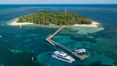 Great Adventures Green Island Ocean Swim - Accommodation Whitsundays 0
