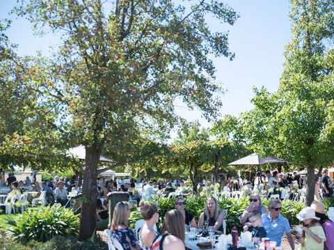 Griffith Vintage Festival - Accommodation Whitsundays 2