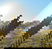 Gunnedah Showjumping Festival - Accommodation Whitsundays