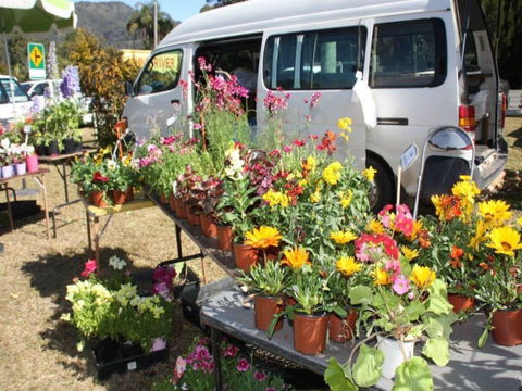 Johns River Country Markets - Accommodation Whitsundays 0