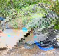 Jungle Love Festival - Accommodation Whitsundays