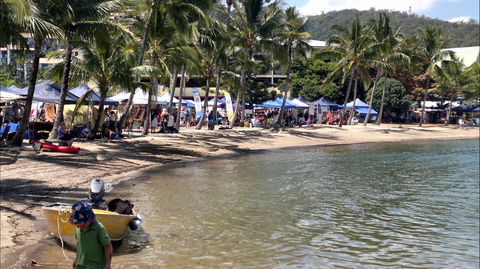 Lions Airlie Beach Community Markets - Accommodation Whitsundays 0