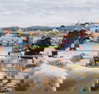 Mudgee Small Farm Field Days - Accommodation Whitsundays