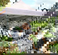 Nan Tien Health and Wellbeing Market - Accommodation Whitsundays