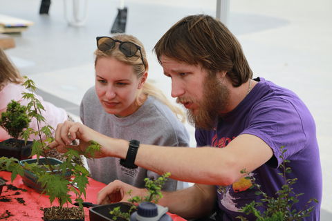 Nan Tien Health And Wellbeing Market - Accommodation Whitsundays 2