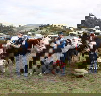 Noorat Show - Accommodation Whitsundays