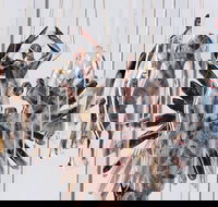 Pulse Perspectives - Virtual Exhibition - Accommodation Whitsundays
