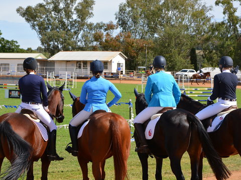 The Gunnedah Show - Accommodation Whitsundays 2