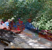 Twilight Run   Willans Hill Miniature Railway - Accommodation Whitsundays