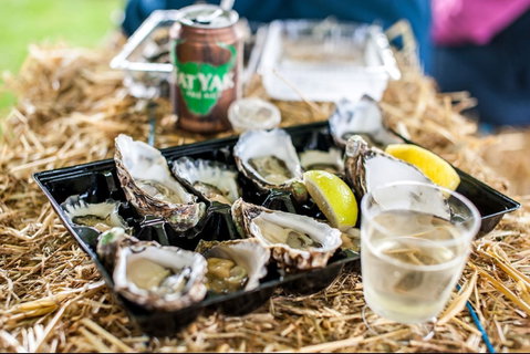 Narooma Oyster Festival - Accommodation Whitsundays 1