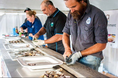 Narooma Oyster Festival - Accommodation Whitsundays 2