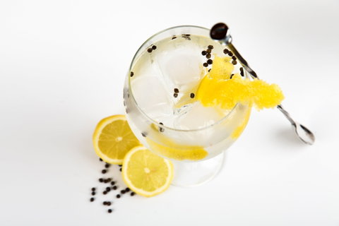 Online Live Streaming Class: Make Four Gin Cocktails - Accommodation Whitsundays 0