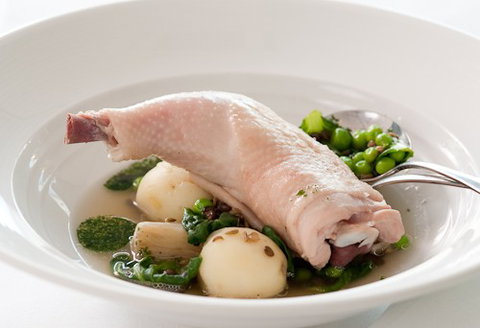 ROCKET Restaurant - Accommodation Whitsundays 3