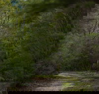 Yering Gorge Cottages - Accommodation Whitsundays