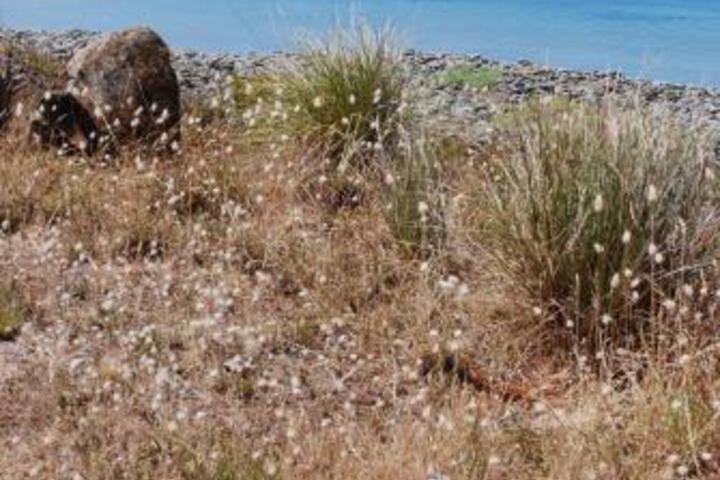 The East Coast TAS Accommodation Whitsundays